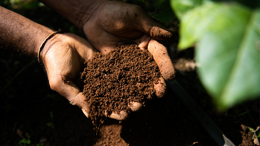 Farming Practice Front
