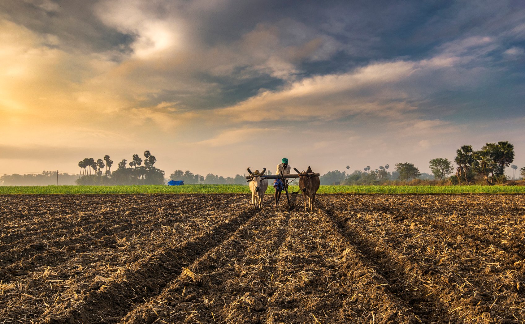Farmer
